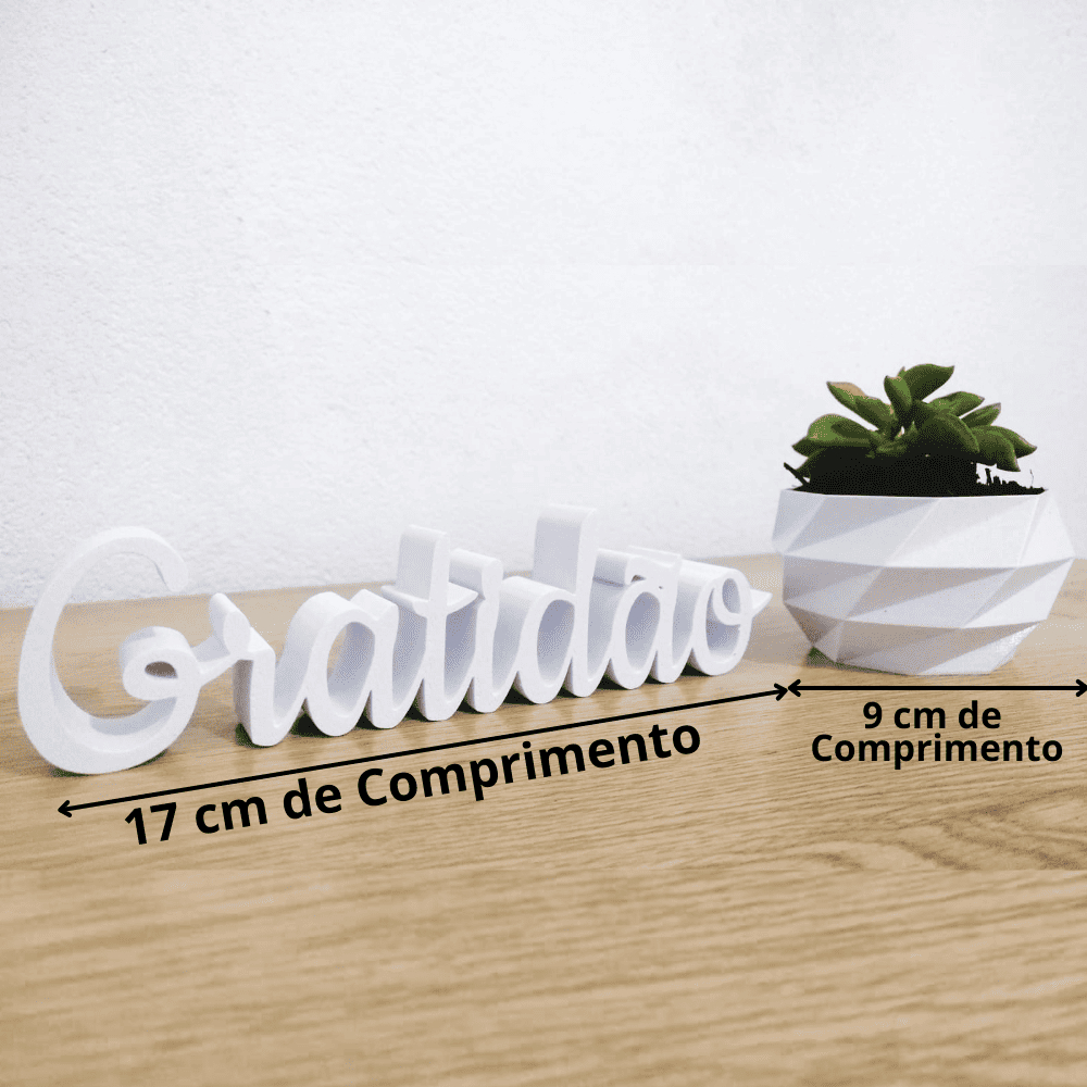 Imagem 5