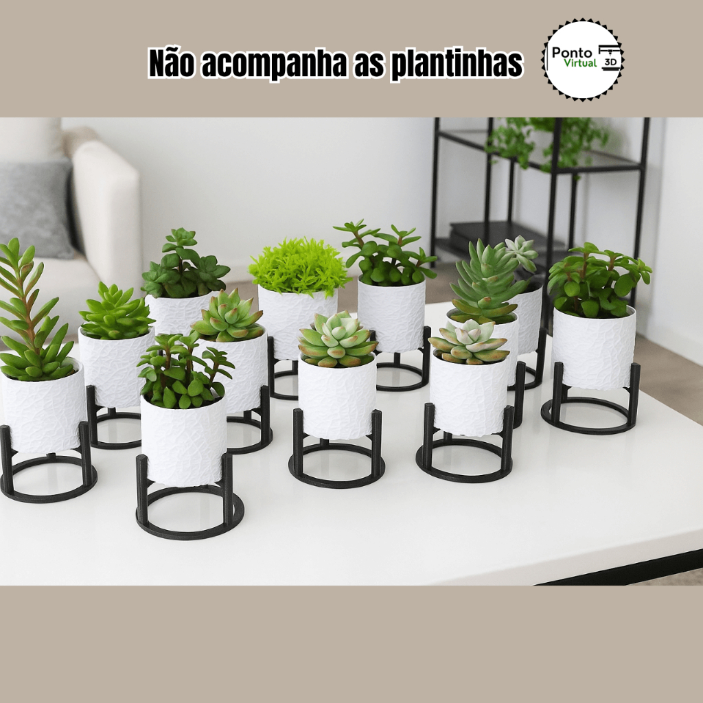 Imagem 5