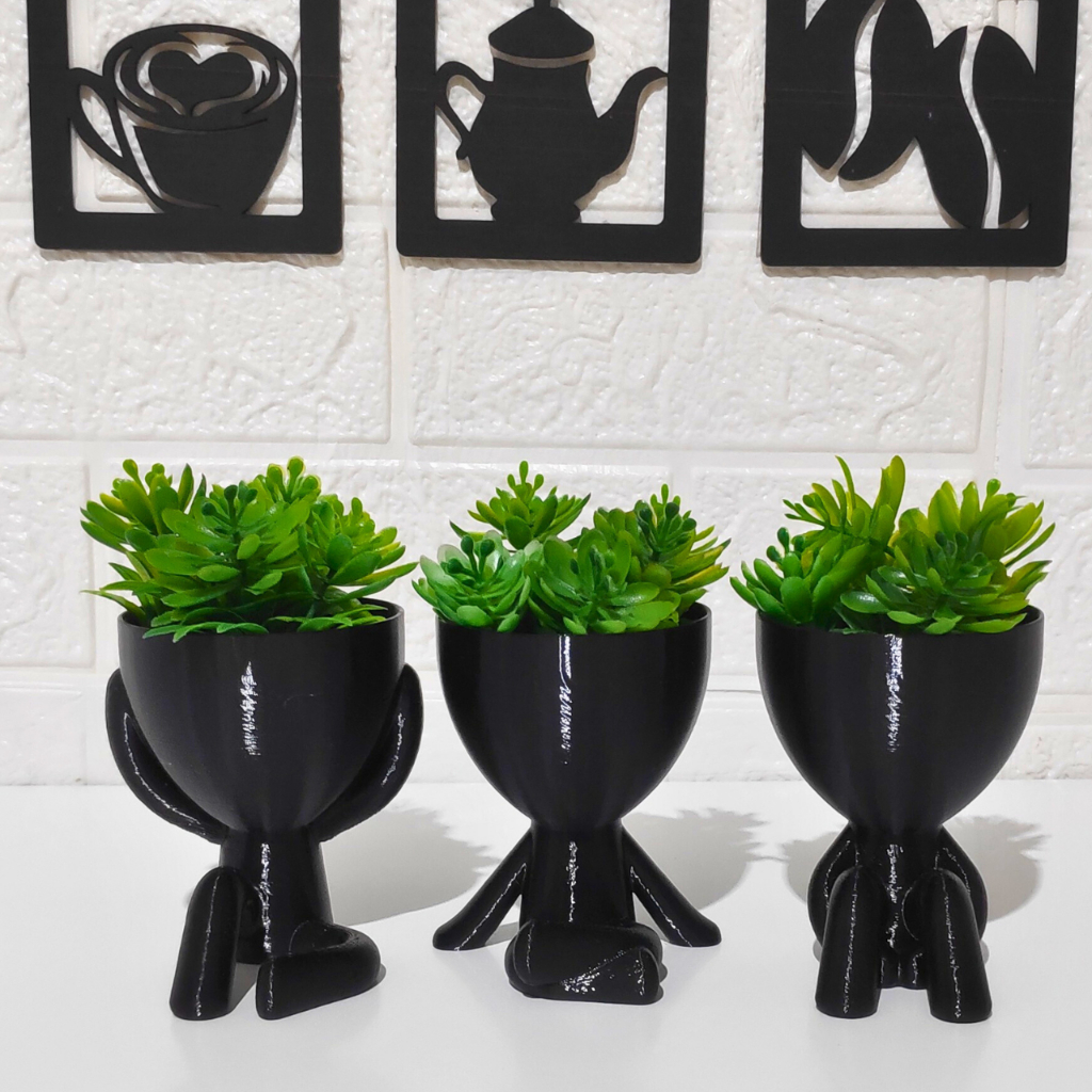 Kit 3 Vasinhos para Suculentas e Cactos Robert Plant Decoração Estante Sala Banheiro